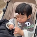 컷트의집 | 잠실 키즈미용실 뿌띠보보 : 돌전아기 머리컷트 박유호 아기 배우 스타일 후기