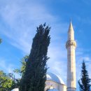 카라인1978 이미지