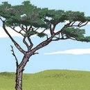 널부르는소리야 이미지