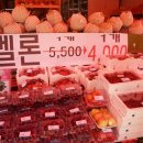 몽땅과일
