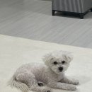 6-077 TS | 분리불안-1