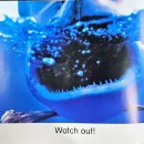 33 Sharks 이미지