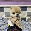 엠케이그루밍샵 이미지