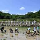 아시아문화박물관 이미지