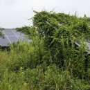 SD 태양광발전소 이미지