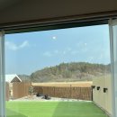 똑똑풀빌라 독채펜션 | 대구 애견 풀빌라 신축 독채펜션 스테이연B동 후기