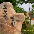 포도원 민박 이미지