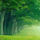 만년한의원 이미지