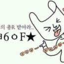 성화맨션 Daum카페
