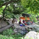 느티나무야영장 이미지