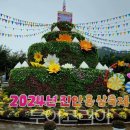 진안홍삼 이미지