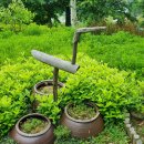 뜬봉샘생태공원 이미지