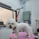 멍 삼촌 이미지