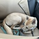 롯데리아 밀양하남점 이미지