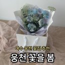 한송이봄 | 여수 꽃집 꽃을 봄ㅣ특별한 날을 더 특별하게, 여수 웅천 꽃집 내돈내산 후기