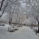 눈편안세상 이미지