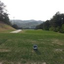 웰빙프라자 이미지