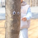 동산자연유치원 이미지