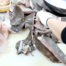 금일홍어 이미지