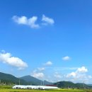 월야마트 이미지