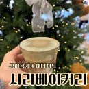 시리베이커리 | 구미옥계 수제디저트 맛집 시리베이커리카페 구미추천카페