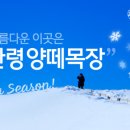 성현목장 이미지