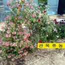 인동농장 이미지