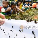 강서방사 이미지