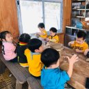 흙과 나무 이미지