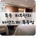 에르메스 | 목동 피부관리 바얀스파 목동점 에르메스 관리 후기