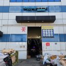 미미네아쿠아 | 2년 만에 다시 찾은 인천 창고형 수족관 "미미네아쿠아" 방문 후기