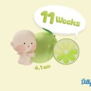 나비산부인과의원 | 임신 11주 4일 기록 : 만35세 이상 임산부 1차 기형아검사 후기(feat.니프티?)+조리원예약