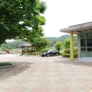 지장보건진료소 Daum카페