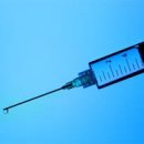 나은 강아지나라 이미지