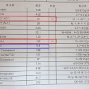 이룬틴