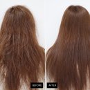 스테이올로지