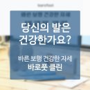 효일축산 | 얇은깔창 일단 구입해두면 오래오래 쓰는 블루칩 용품