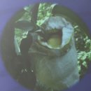 현명농장 이미지