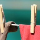 세탁의여왕 이미지