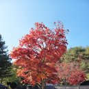 돌집야영장 이미지