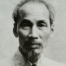 1946 Daum백과