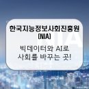 한국지능정보사회진흥원(NIA) / 디지털로 여는 똑똑한 사회, 디지털 대한민국의 숨은 설계자! [이공계...