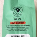 인섹트 파워 이미지