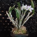 은설농장 이미지