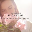티는여자