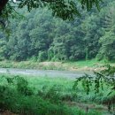 학생야영장 옆 이미지