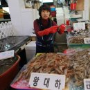 안면도수산업협동조합 이미지