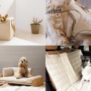 하늘안 자동차 정비 이미지