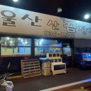 울산산꼼장어 이미지