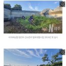 남원농협 주천지점 | 서귀포농협 청년부 벌초대행 신청방법 | 산소관리 벌초 대행사업 총정리